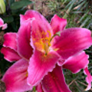 Meet your Posher, Christy